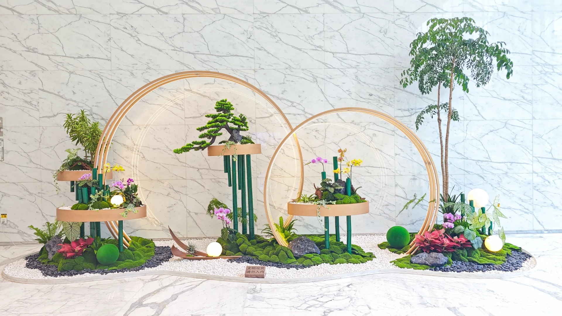 余姚植物出租哪家强?价格实惠等你来瞧!